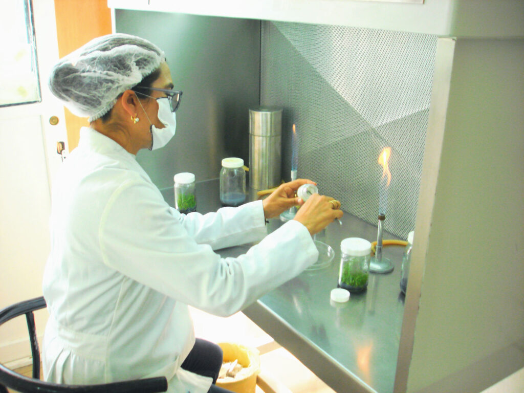 Laboratorio de Biotecnología