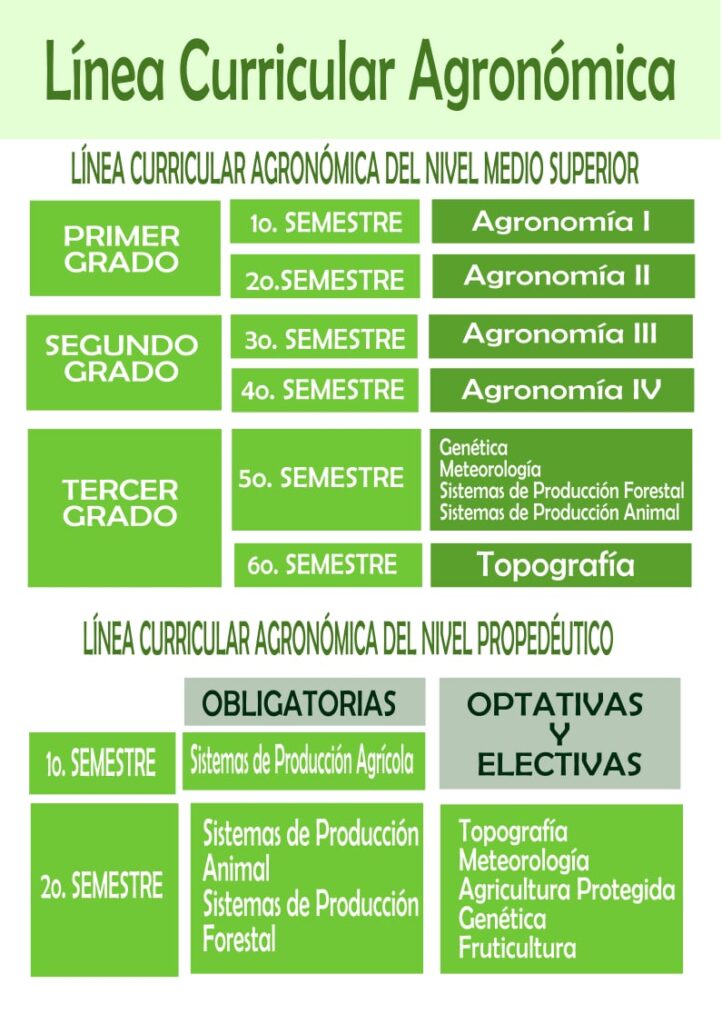 linea_curricular_agronomica