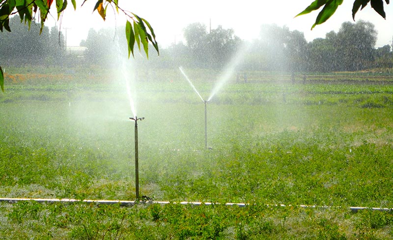 Campo Experimental San Ignacio